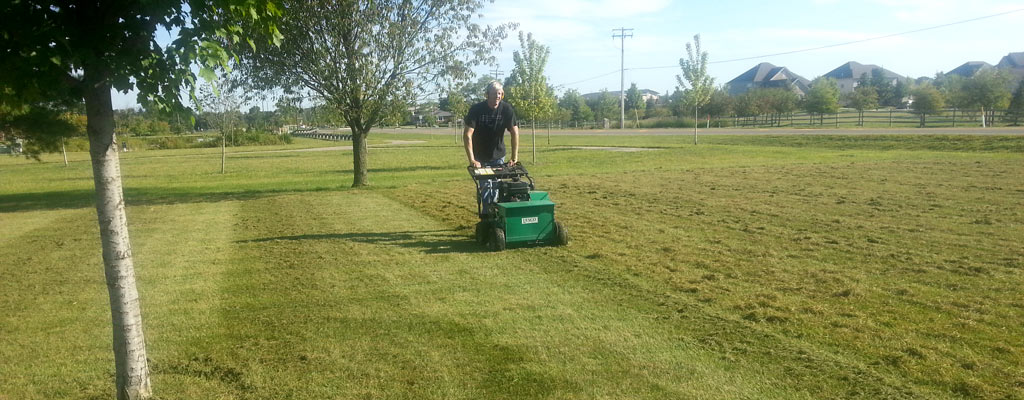 Lawn Aerating Services